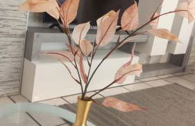 Donna Rosa - Photo 1