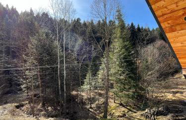 Malowany Las - Foto 29