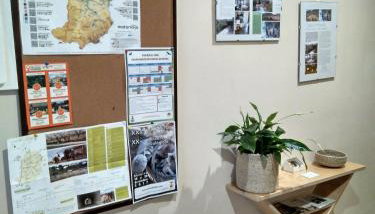 Casa Ombrieta - Foto 4