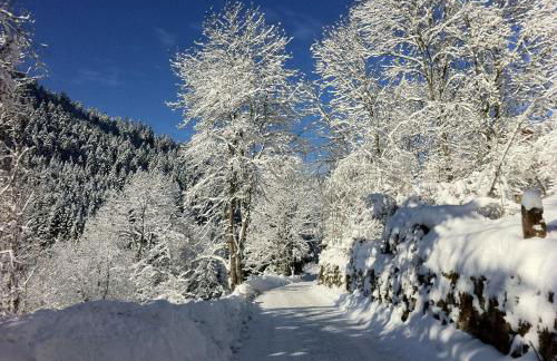Ferienwohnung-Jungbauernhof - Foto 10