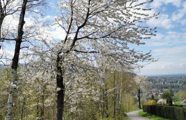 JAWORNICA HOUSE domek z pięknym widokiem - Foto 43