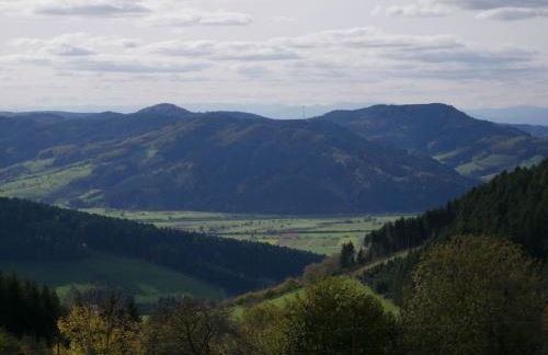 Schwarzwald Buchenhof - Foto 11