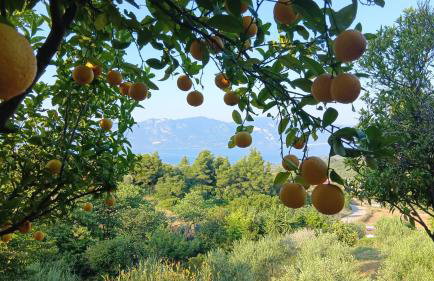 Lichada view - Photo 20