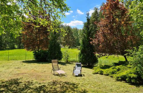 Domek w Lesie Bory Tucholskie - Foto 26