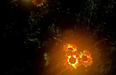 Majestic Cottage Estate with Indoor Heated Pool - Foto 38