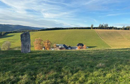 Kapellenhof Ferienwohnungen - Foto 3