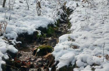 Juraszówka - Foto 41