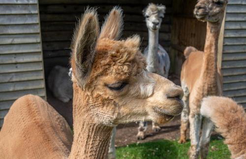 Nutley Farm - Foto 24