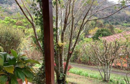 Vale das Estrelas - vale das videiras - araras - Foto 44