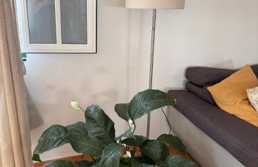 La Casa de Abona - Photo 27