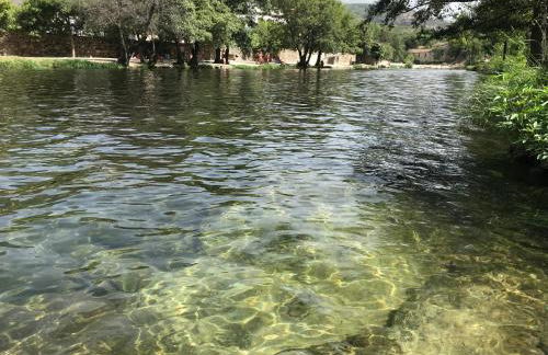 El Cerrillo - Foto 10