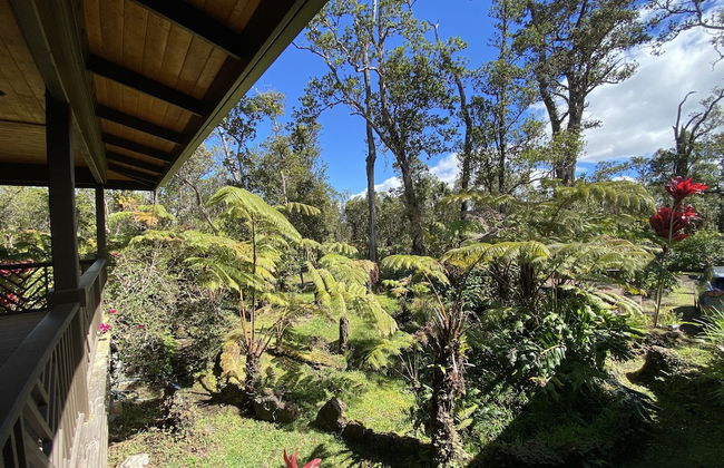 Volcano Rainforest Lodge - Foto 66