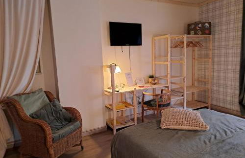 Musa Paradisiaca 5 - Foto 7