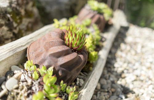 Ferienwohung Traumgarten - Foto 19