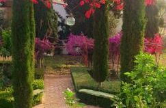 Cortijo El Triguero N-398 Ctra Carmona – El Viso del Alcor Km 18 - Foto 38