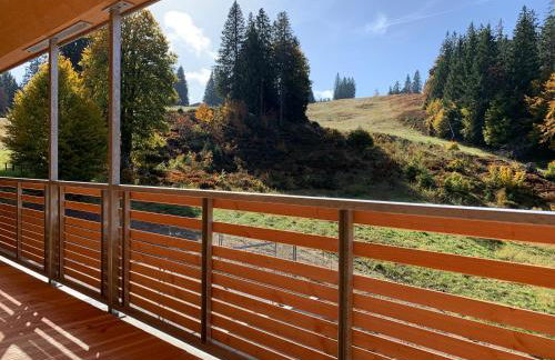 Ferienwohnung Feldberg Schwarzwald - Foto 37