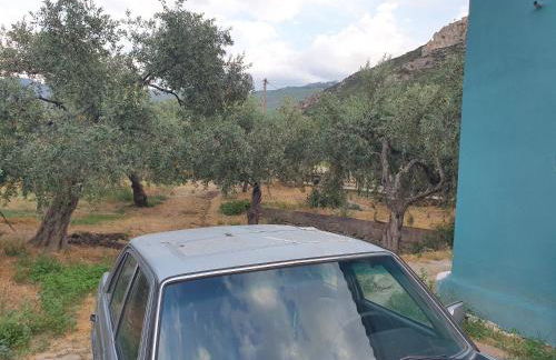 MariGold Villa - Photo 29