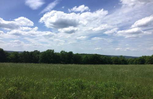 Charming Cabin on 1,000-Acre Farm in Westfield, Pennsylvania - Foto 19
