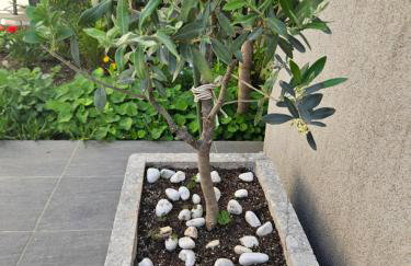 Apartmani Marinović - Foto 19