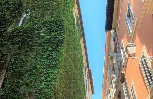 Residenza Domizia- Guest House - Foto 31