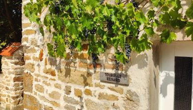 Tourellerenard - Foto 4