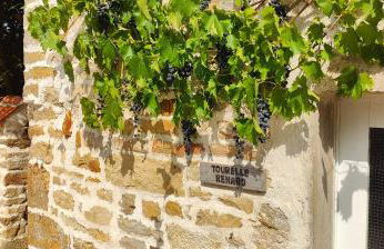 Tourellerenard - Foto 4