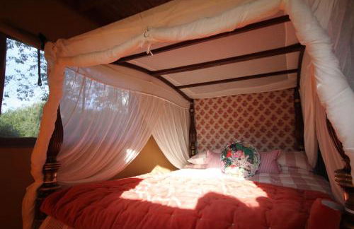 Marabou Safari Lodge - Foto 12