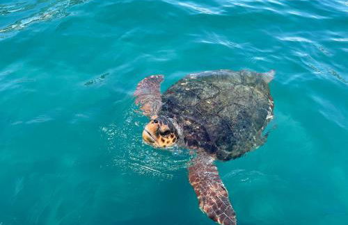 Osservatorio House - Foto 30