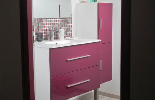 Studio & Gîte Zen de Beauval- 800 m du Zooparc - Photo 25