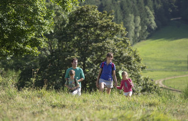 VVF Haute Loire Haute Ardèche, Tence - Photo 15