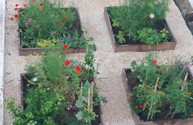 "Casa Oliveiras" studio avec terrasse et piscine - Foto 34