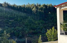 Casa da Ribeirinha - Foto 29