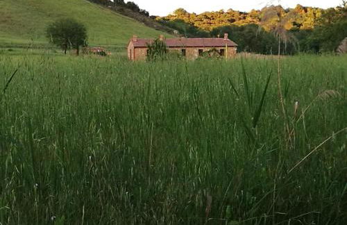 Molino della Tuoma - Foto 77