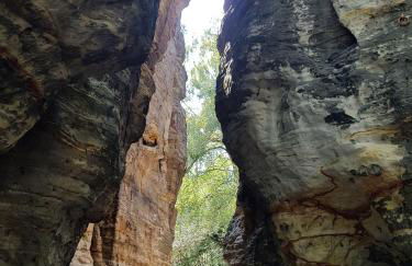 Auf-der-Muehlwiese - Foto 45