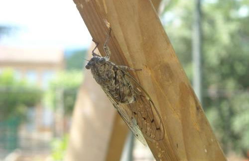 Lou pichoun studio au coeur d'un village provençal - Foto 44