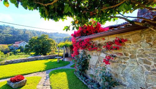 REMANSO AZUL - Foto 5, Garden view