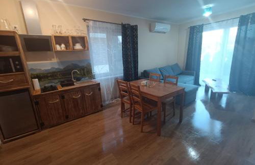 Apartamenty Lubkowo - Foto 13