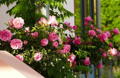 Katrin-Cara Mia Ferienwohnung - Foto 45