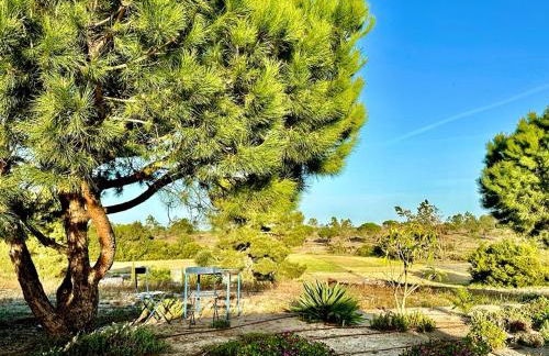 Casa Paloma - Foto 21