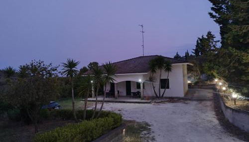 Odori di zagara - Foto 3