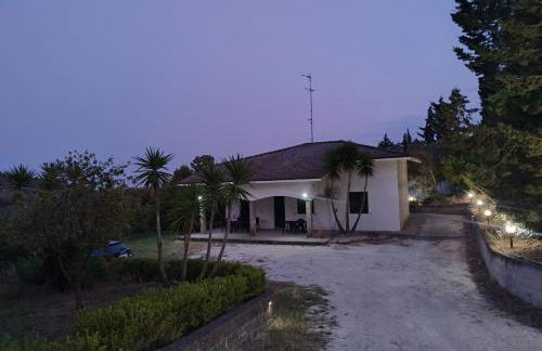 Odori di zagara - Foto 3