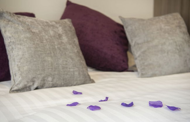 Chocolets - The Quality Suite - Foto 20