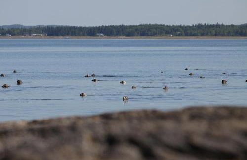 Acadia Ocean Front Garden Cottages - Foto 72