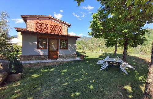 Fattoria Antognoni - Foto 77