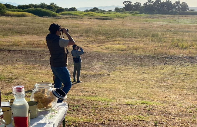 Avistamiento de aves en Oudtshoorn - Foto 1