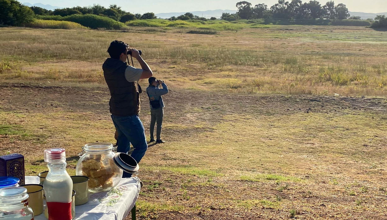 Avistamiento de aves en Oudtshoorn