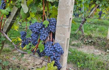 A casa di Thelma - Foto 16