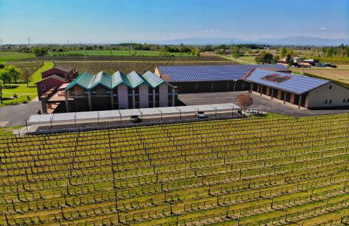 Tenuta Santomè - Foto 37