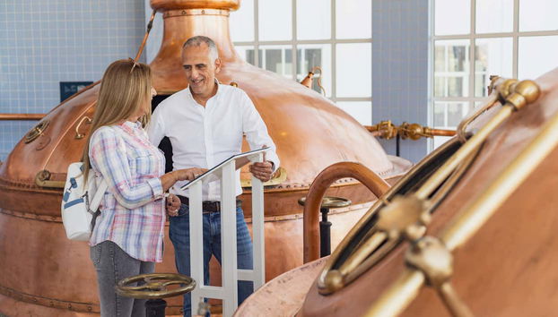 Learn about the brewing process