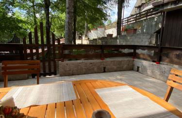 Livata - Campo dell’Osso...nel bosco a 1.700 metri - Photo 26